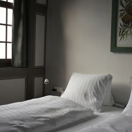 Vadian Garni ホテル 2*