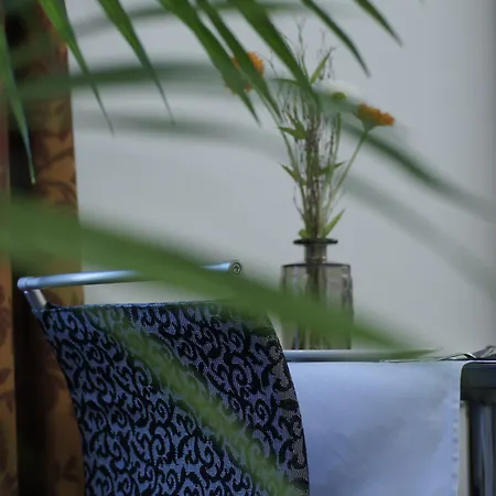 Vadian Garni מלון סנט גאלן