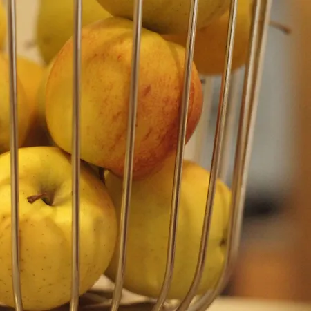 Vadian Garni فندق