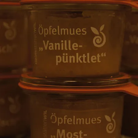 Vadian Garni ホテル サンクト・ガーレン