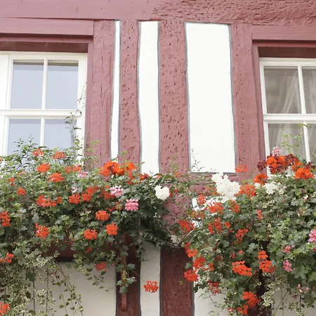 Vadian Garni ホテル サンクト・ガーレン