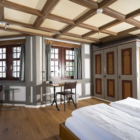 Vadian Garni 2* סנט גאלן