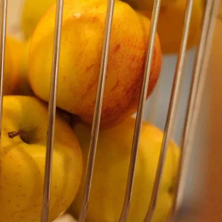 Vadian Garni ホテル 2*