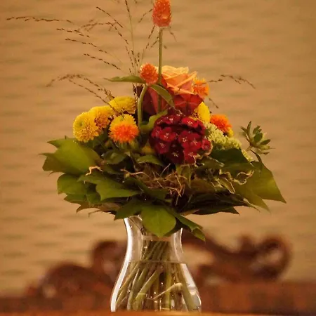 Vadian Garni 2* סנט גאלן