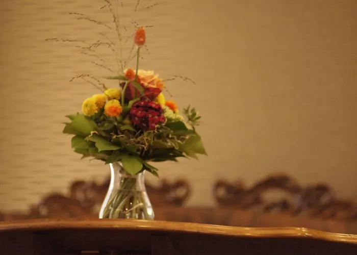 Vadian Garni Hotel 2*