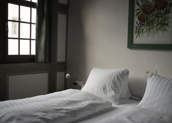 Vadian Garni Hotel 2*