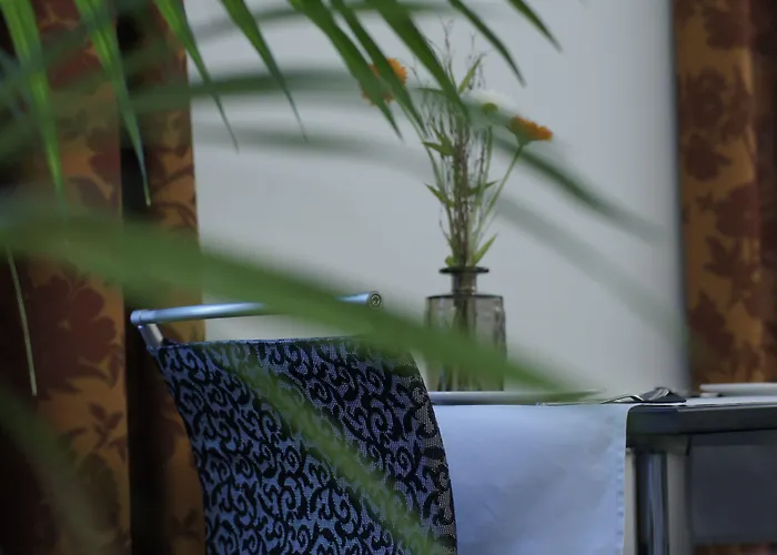 Vadian Garni فندق سانت غالن