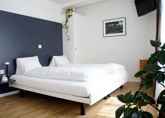 Vadian Garni Hotel St. Gallen