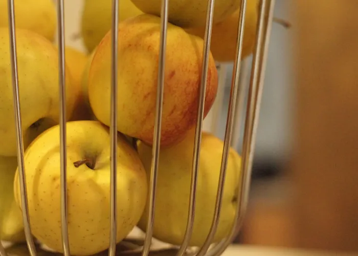 Vadian Garni فندق