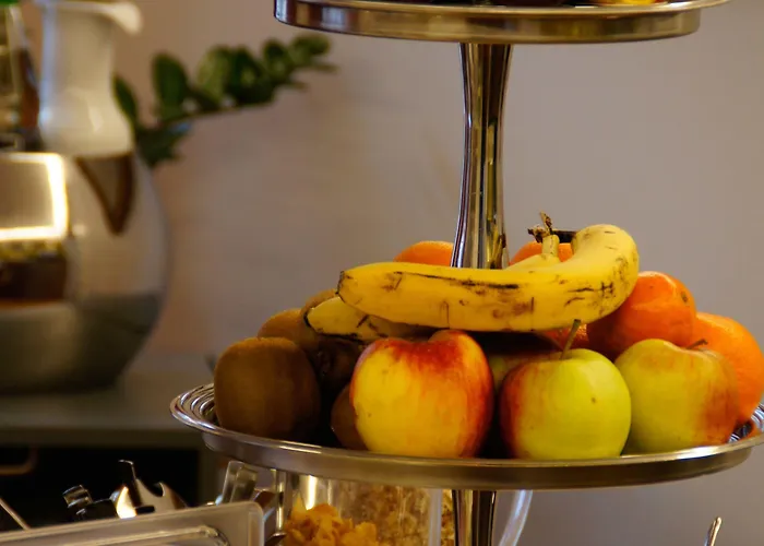 Vadian Garni فندق