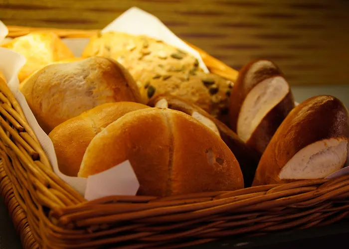 Vadian Garni 2* سانت غالن