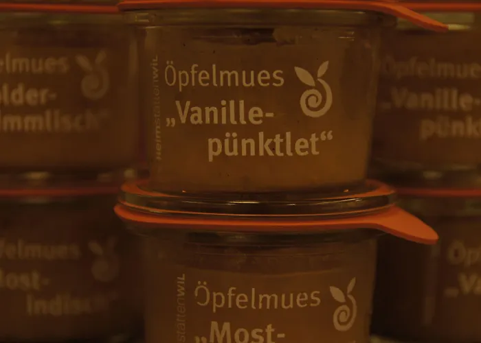 Vadian Garni Hotel St. Gallen