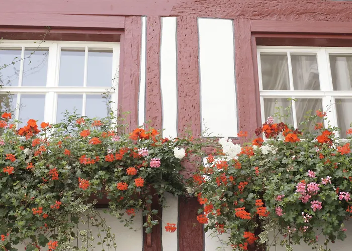 Vadian Garni Hotel St. Gallen