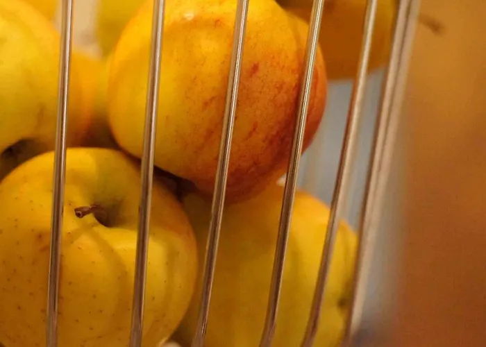 Vadian Garni Hotel 2*