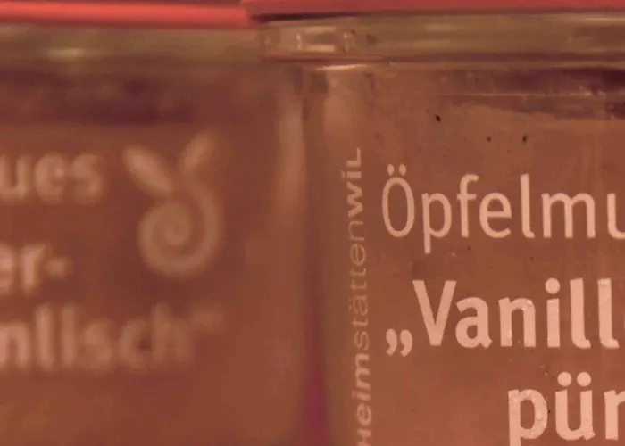 Vadian Garni 2* Sankt Gallen