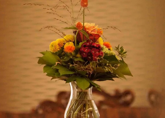 Vadian Garni 2* Sankt Gallen