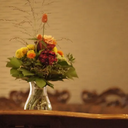 Vadian Garni Hotel 2*