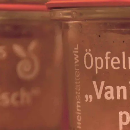 Vadian Garni 2* St. Gallen